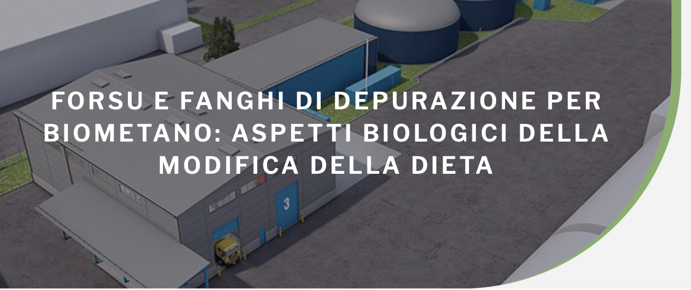 FORSU e fanghi di depurazione per biometano: aspetti biologici della modifica della dieta